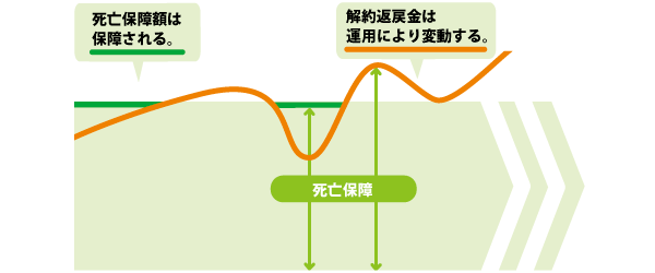 変額保険のしくみ