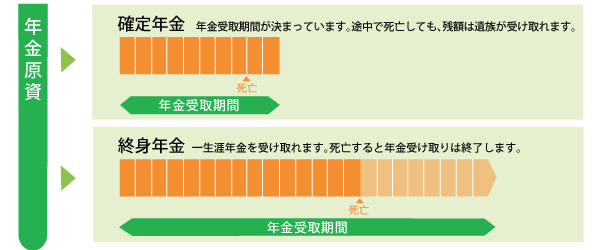 個人年金保険02