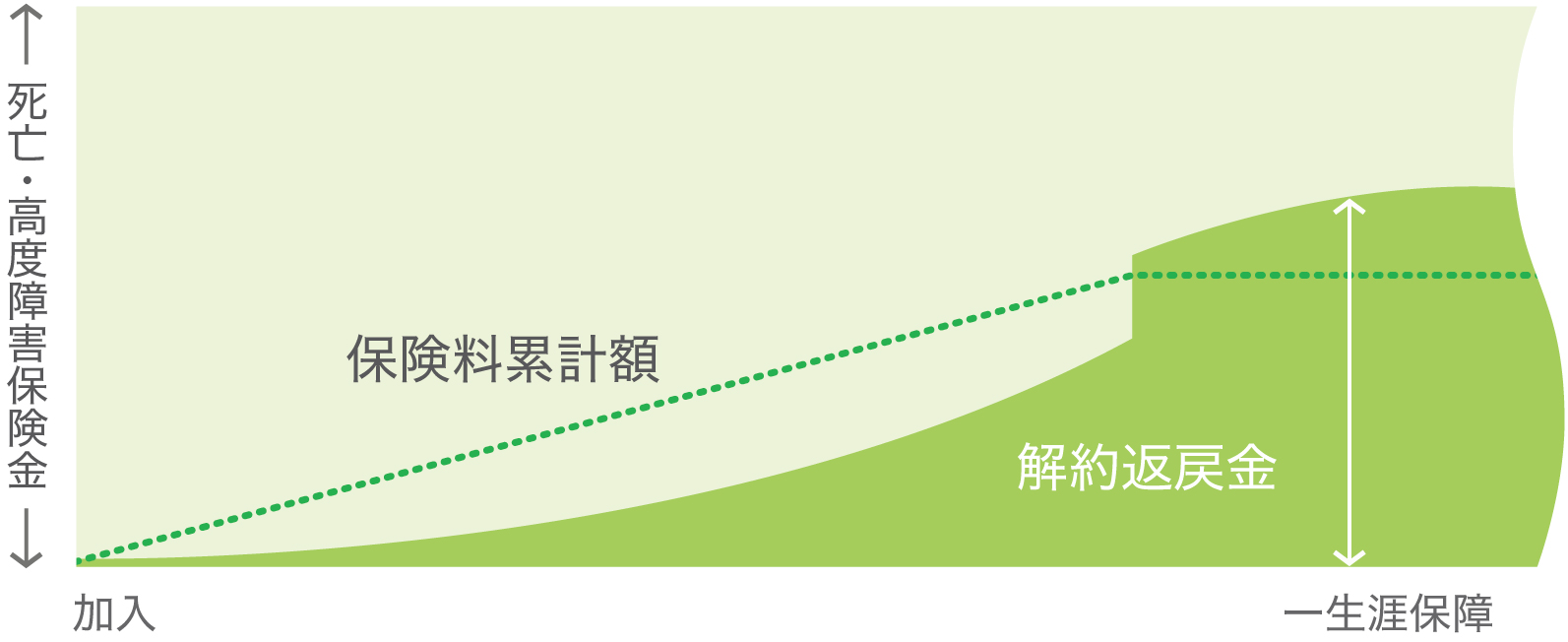 低解約返戻金型終身保険