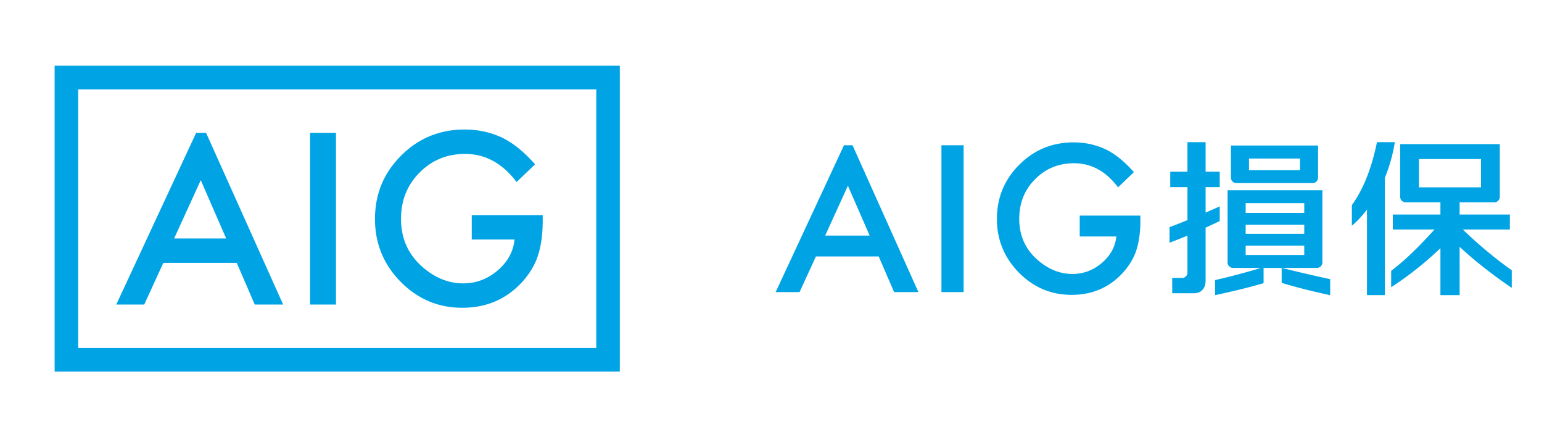 AIG損害保険 株式会社