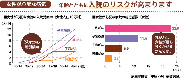 フェミニーヌの資料①