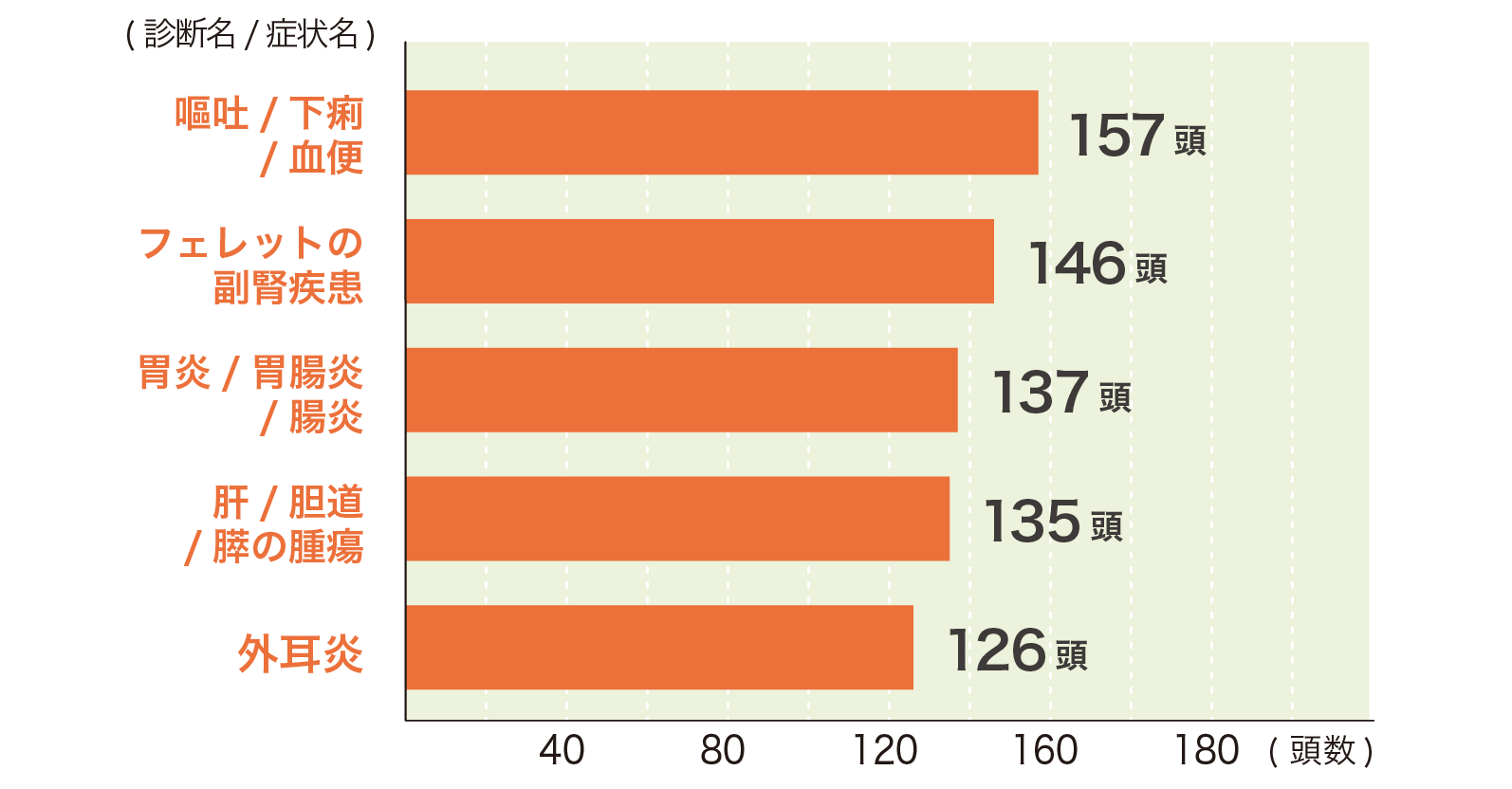 フェレット全体の傷病ランキング