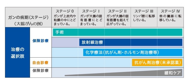 自由診療支払例（大腸がん）の図