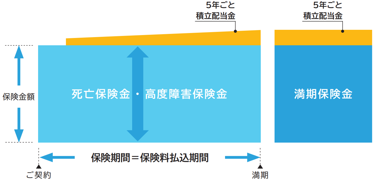 5年ごと利差配当付養老保険のしくみ