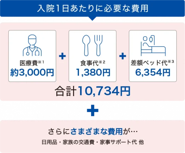 入院一日に必要な費用図