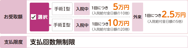 手術支払の図