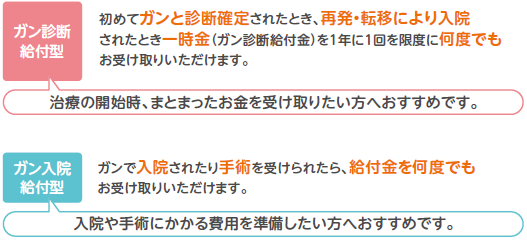 がん保険S2つの基本保障の図